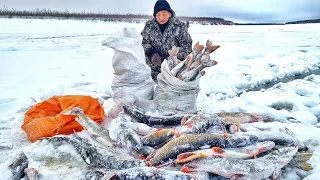 НАЛОВИЛИ ТЕПЕРЬ СТРАДАЕМ! КУДА СТОЛЬКО РЫБЫ?! ЭТО ПЕРВЫЙ ЛЁД, ЯКУТИЯ !