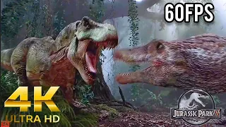 T-Rex VS Spinosaurus in 4K 60FPS - Jurassic Park 3 Movie CLIP - ZikTek