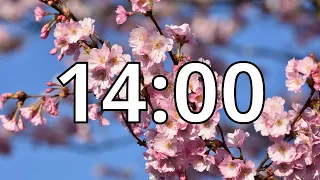 14 Minutes Timer with Music | Cherry Blossom Timer