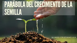 #Parábola del CRECIMIENTO de la SEMILLA 🌱 ( #Marcos 4:26-29 ) #Predicación