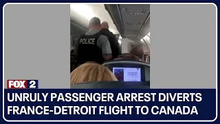 Unruly passenger arrest diverts France-Detroit Delta flight to Canada