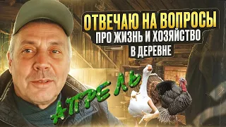 Отвечаю на вопросы моих подписчиков в АПРЕЛЕ👍👏😃 "Мое Подворье"