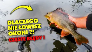 DLACZEGO NIE MOŻESZ ZŁOWIĆ OKONI - MOŻLIWE PRZYCZYNY !