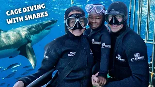 Cage Diving with SHARKS in South Africa!