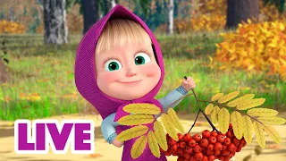 🔴 LIVE! Masha e Orso 👱‍♀️🐻 Prenderó del cibo 🍕🍰 Cartoni animati per bambini