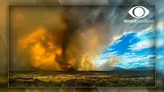 Calor extremo: EUA têm tornado de fogo e recorde de incêndios