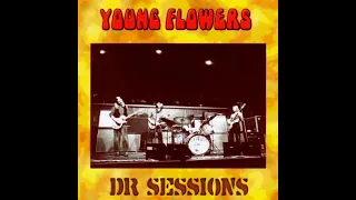 Young Flowers   DR Sessions 1969 1970 Denmark, Psychedelic  Progressive Rock