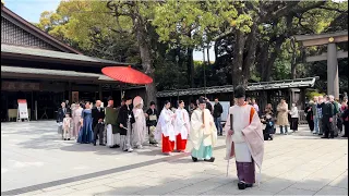明治神宮 神前結婚式 Japanese Traditional Wedding at Meiji Shrine in Tokyo - Echo 168