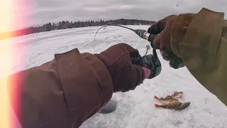 Kymijärvi 03.03.24