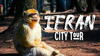 Ifran City Tour l The Small Switzerland of Morocco and Michlifen (Cinematique video) ⛷ 🏂