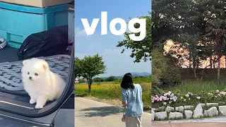 [vlog] 오랜만에 돌아온 나의 일상 🌿| 일상브이로그 | 직장인 브이로그 | 부산브이로그 | 출근룩 | 룩북 | 직장인공부 | 영도 카페 |광안리 맛집 | 롯데자이언츠 |야구