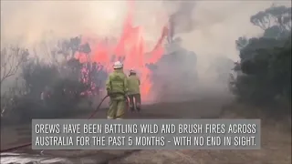 Video Now: Australia's Wildfires: An In-Depth Look