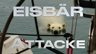 Eisbär Attacke 🐻‍❄️ in Grönland #169 @XTripSailing Segeln Abenteuer