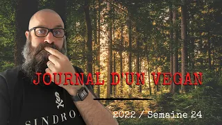 JDV 2022 - S.24 | J’ai mangé de la gelé de bois !