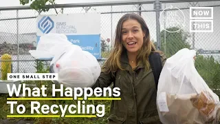 What Happens To Your Recycling After Being Collected | One Small Step