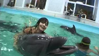 Москва Утришский дельфинарий (видео под водой) 2-3