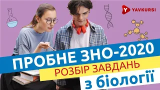 Розбір пробного ЗНО онлайн від ЯвКурсі. Біологія. 26 квітня 2020