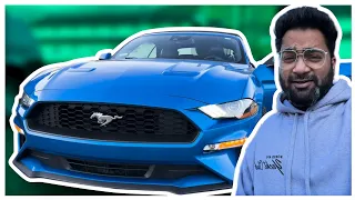 THE MUSTANG TAMER - BHAND VLOG 26