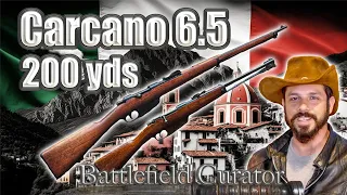 Steinel Ammo 6.5 Carcano at 100yd and 200yd Accuracy Test + Carcano Pro Tips!