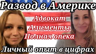 Развод в Америке/Полная опека на детей/Сколько стоит развод в США