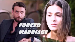 Leyla & Yavuz - Their story - Forced marriage with a Mafia (Hudutsuz Sevda + eng sub)