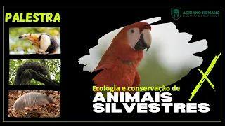 Ecologia e Conservação de Animais Silvestres - Palestra durante a semana do Meio Ambiente.