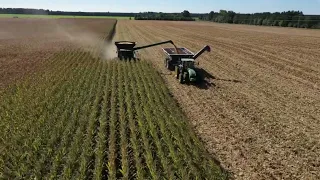 Drone footage of corn harvest