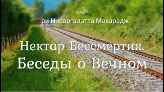 Шри Нисаргадатта Махарадж - Нектар Бессмертия. Беседы о Вечном [Аудиокнига - Nikosho]