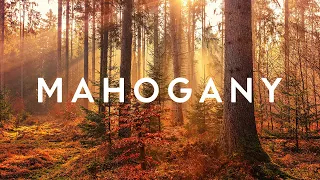 Voyageur - I Will Fight For You | Mahogany Songs