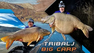 Gábor Döme – Big-Carp Fishing in January in Tribalj