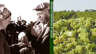 Історія українського виноробства/History of winemaking in Ukraine