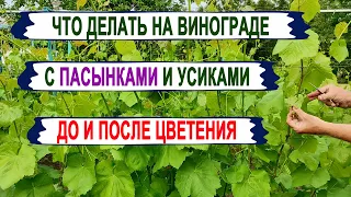 🍇 От ЭТОГО  меньше БОЛЕЗНЕЙ на винограде. Что делать во время ЦВЕТЕНИЯ с побегами, ПАСЫНКАМИ, УСАМИ.