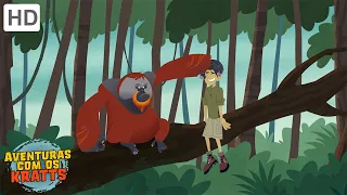 Aventuras com os Kratts - Um Problemão Laranja (Episódio Completo - HD)