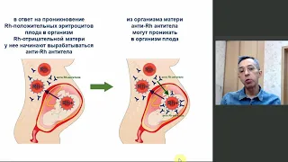 Несовместимость по резус-фактору и группе крови между организмами матери и плода - лекция