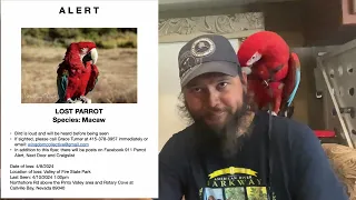 Lost Parrot, search and recovery Lake Mead