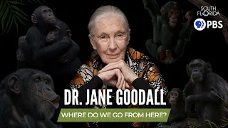 Dr. Jane Goodall: A Legendary Conservationist with a Message of Hope