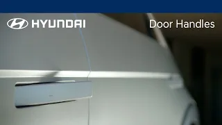 Door Handles | IONIQ | Hyundai