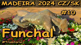 MADEIRA 2024 CZ/SK - Funchal centrum a park Santa Catarina - VLOG 10 #Tramtarie - Hezky Česky