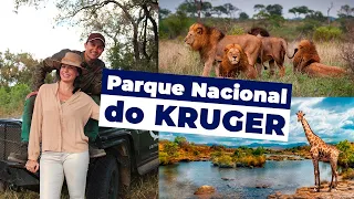 FIZ UM SAFÁRI NO PARQUE NACIONAL DO KRUGER, NA ÁFRICA DO SUL | Rodrigo Ruas
