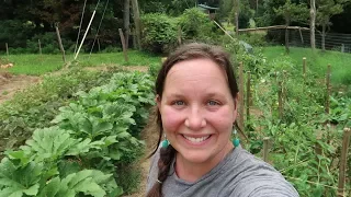 HOMESTEADING Made Me RICH!