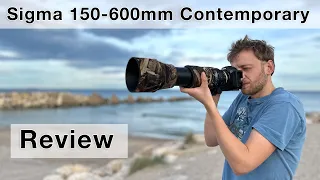 Preis/Leistungs-Hammer oder GELDVERSCHWENDUNG? Sigma 150-600mm Contemporary Review