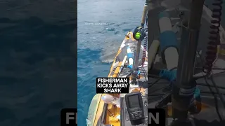 Video shows shark attack kayak off Hawaii shore