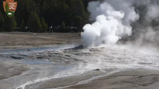 Old Faithful geyser in Yellowstone National Park in about to erupt