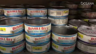 What kind of canned tuna?