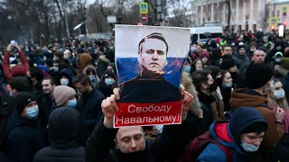 Fast 3300 Festnahmen bei Nawalny-Demos in Russland
