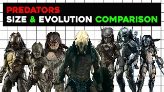 The Evolution of YAUJTA Predator (1987-2022)