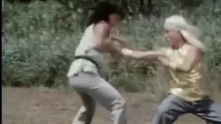 Secret of shaolin kung fu - Final fight scene