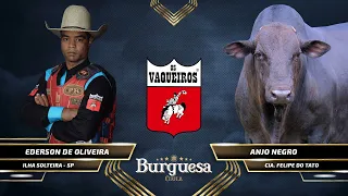 MELHORES MOMENTOS de QUARTA - Live Burguesa / FINAL CRP 2020