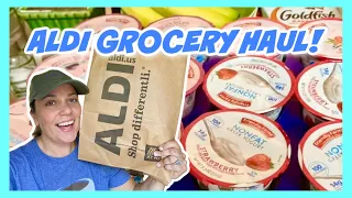 ALDI GROCERY HAUL** The Deals I Buy at Aldi!