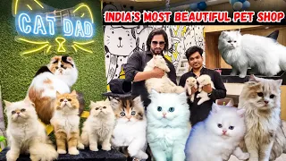 Biggest Pets Shop in India | Persian Cats | Himalayan Cats & More | Cat Dad Mumbai